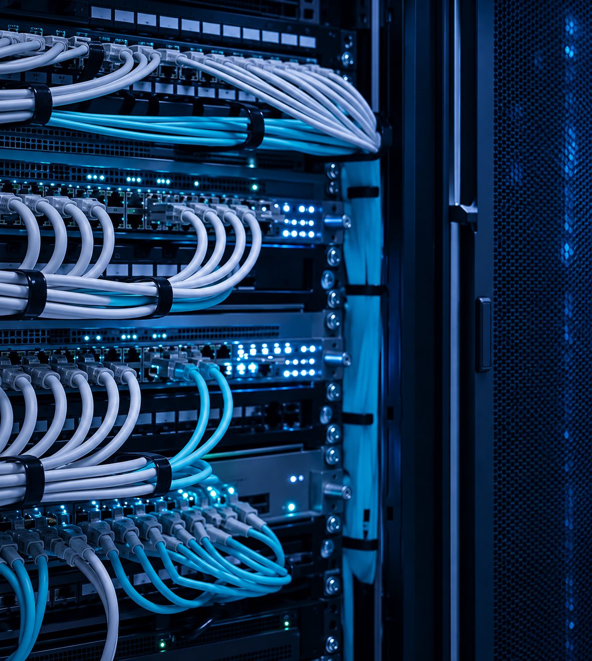 Structured network cabling